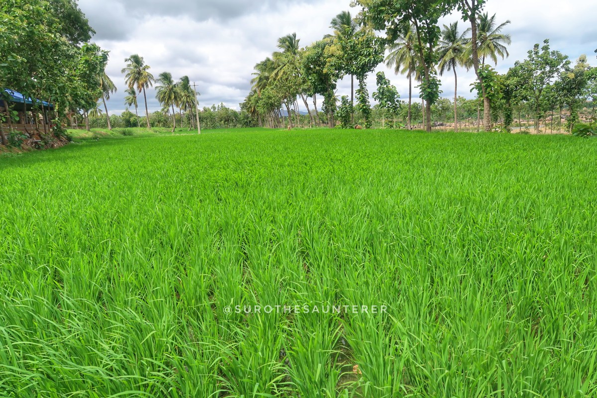 A solo trip to Hampi-Anegundi,&nbsp;Part-II